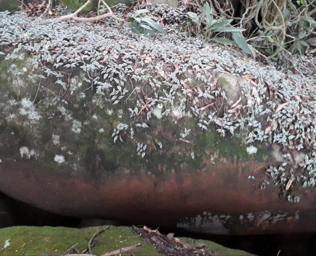 فندق غواراباريفي  Chales Aguas De Marco المظهر الخارجي الصورة